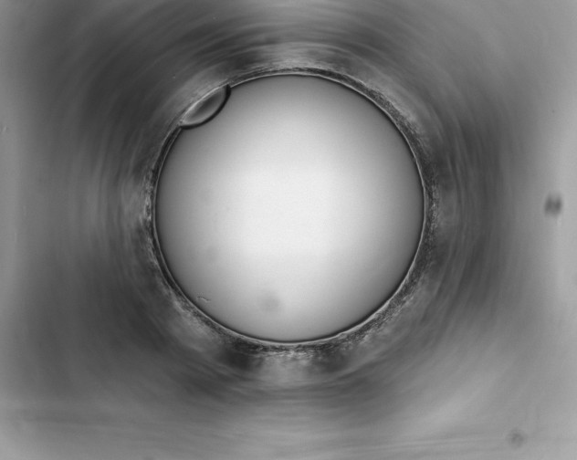 X0000103300793200809191853