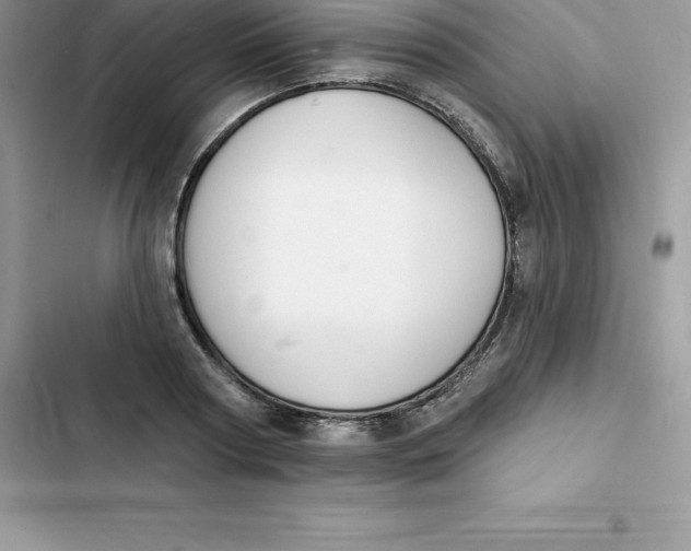 X0000103300794200809191853