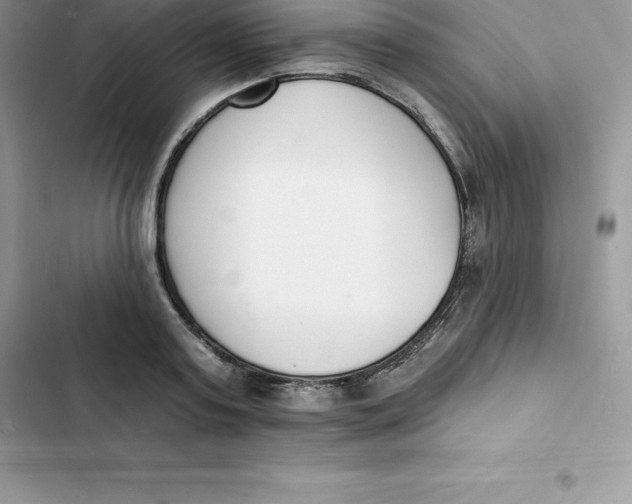 X0000103300795200809191853