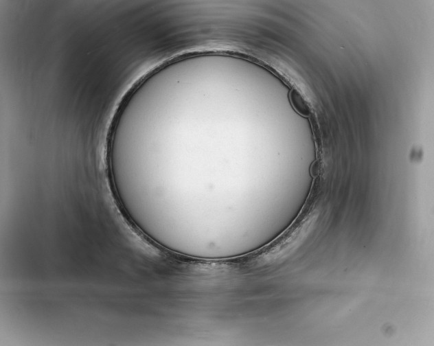 X0000103300797200809191853