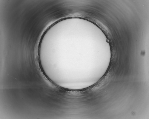 X0000103300800200809191853