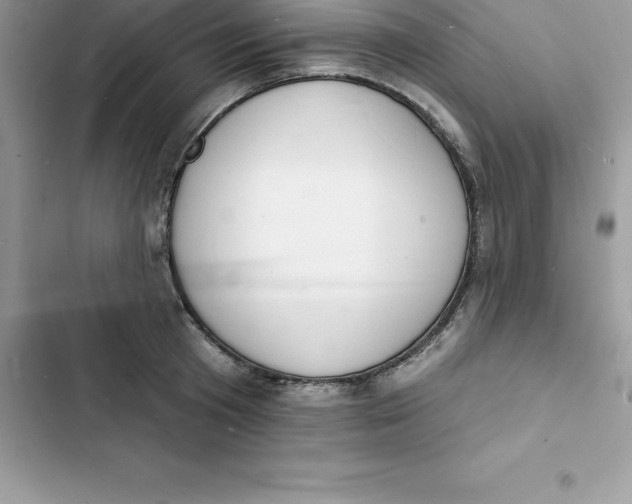 X0000103300801200809191853