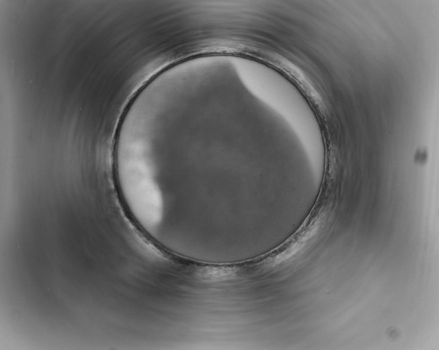 X0000103300802200809191853