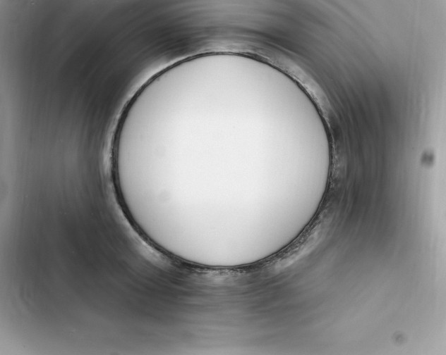 X0000103300803200809191853