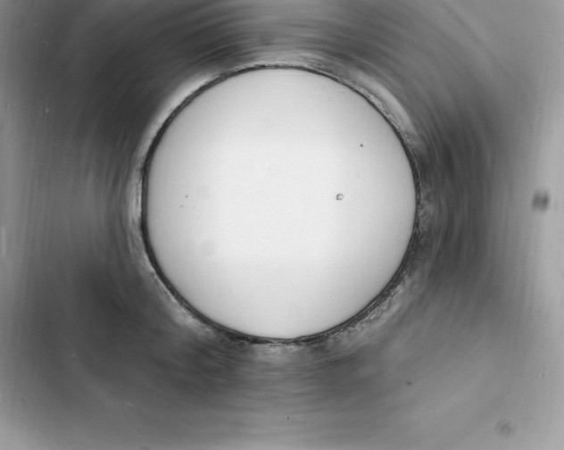 X0000103300804200809191853