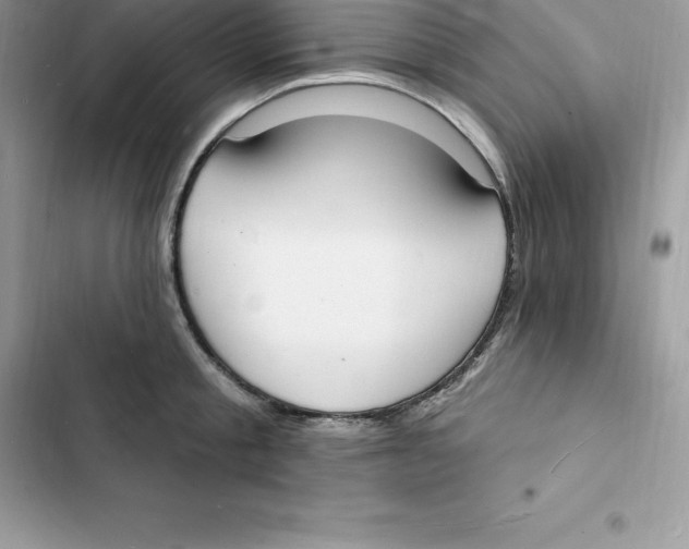 X0000103300805200809191853