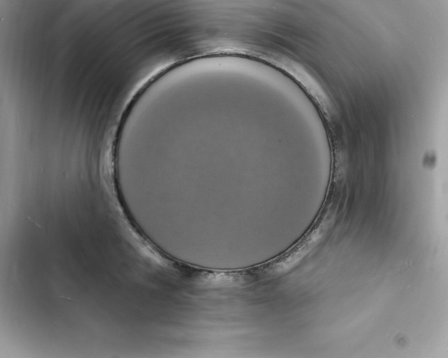 X0000103300806200809191853