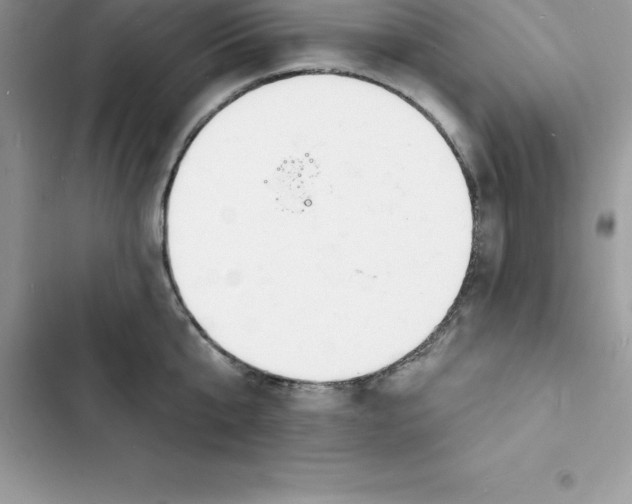 X0000103300807200809191853