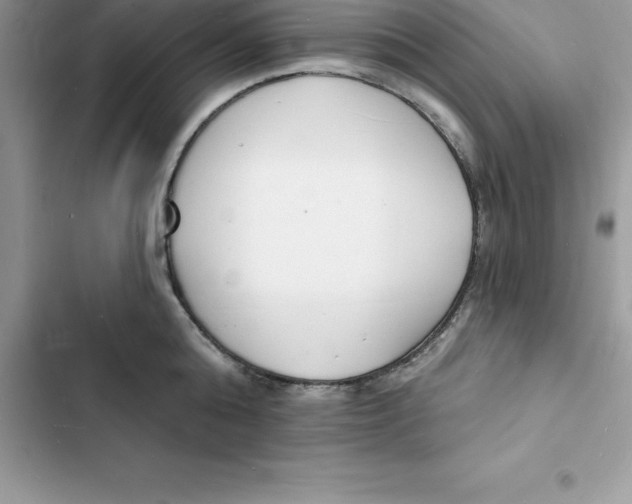 X0000103300808200809191853