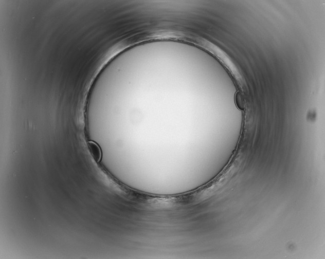 X0000103300810200809191853