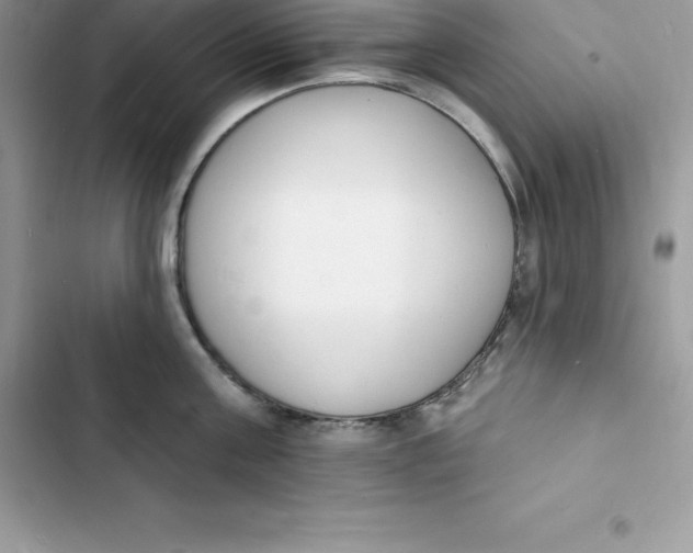 X0000103300811200809191853