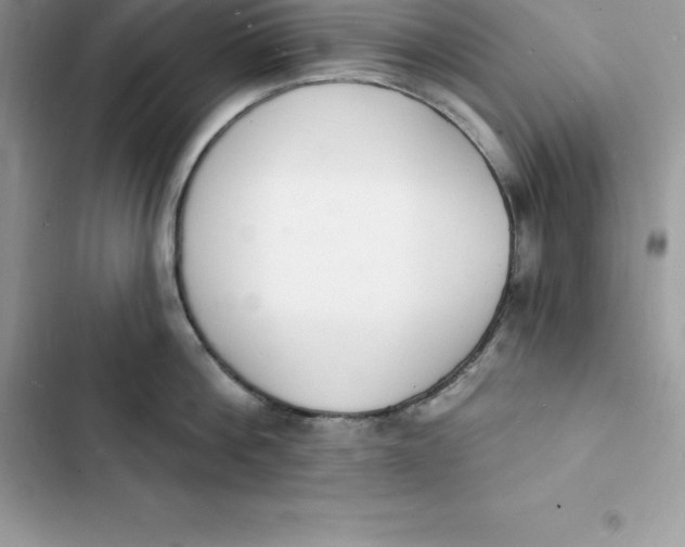 X0000103300812200809191853