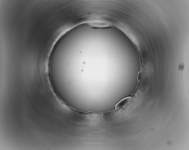 X0000103300813200809191853