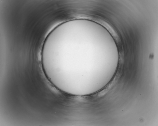 X0000103300814200809191853