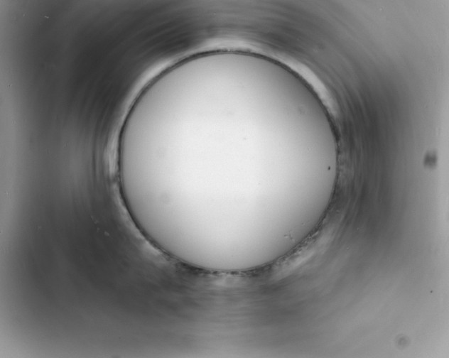 X0000103300815200809191853