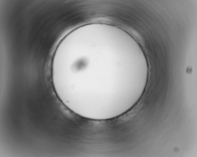 X0000103300816200809191853