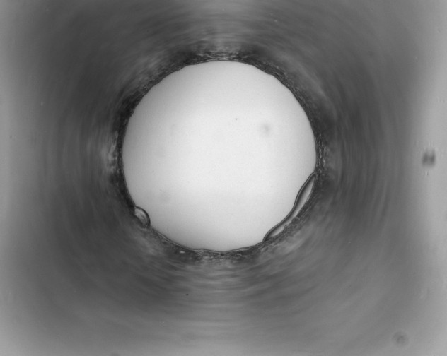 X0000103300818200809191852