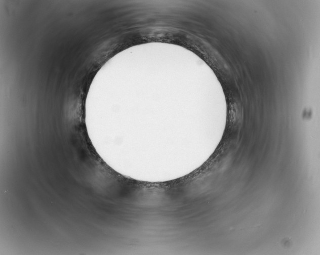 X0000103300820200809191852