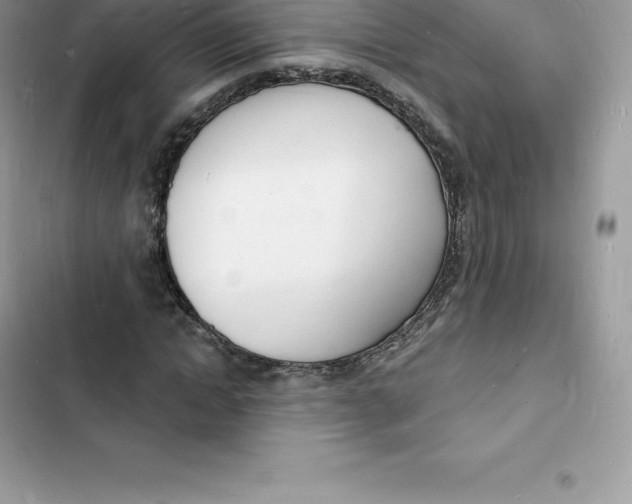 X0000103300822200809191852