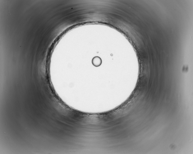 X0000103300828200809191852