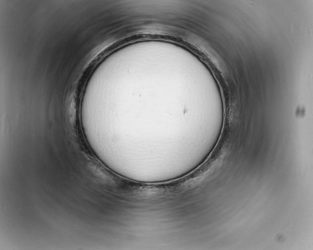 X0000103300829200809191852