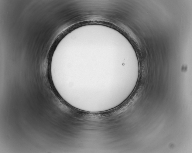 X0000103300831200809191852