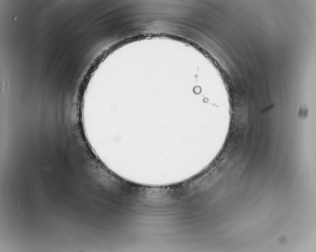 X0000103300832200809191852