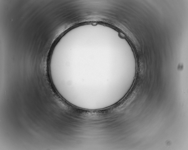 X0000103300834200809191852