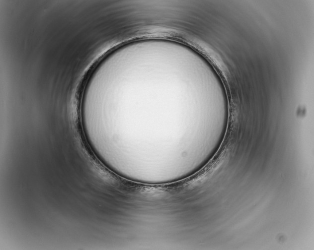 X0000103300835200809191852