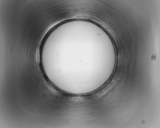 X0000103300838200809191852