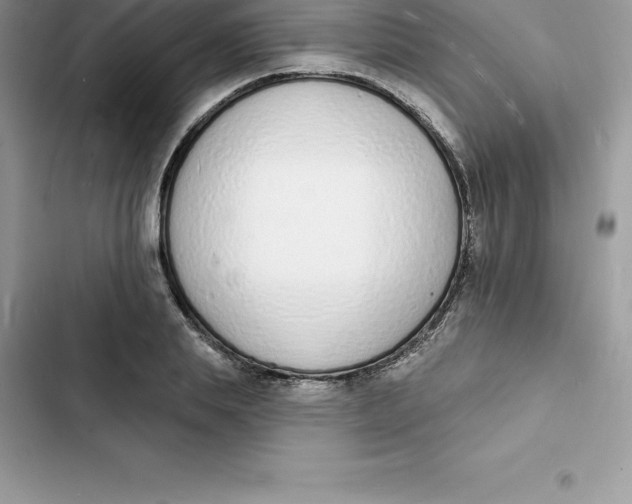 X0000103300839200809191852