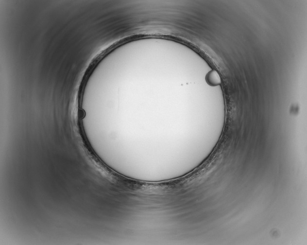 X0000103300840200809191852