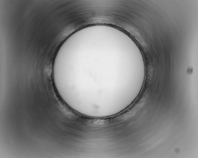 X0000103300841200809191852