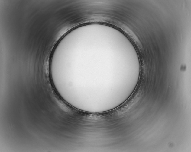 X0000103300842200809191852