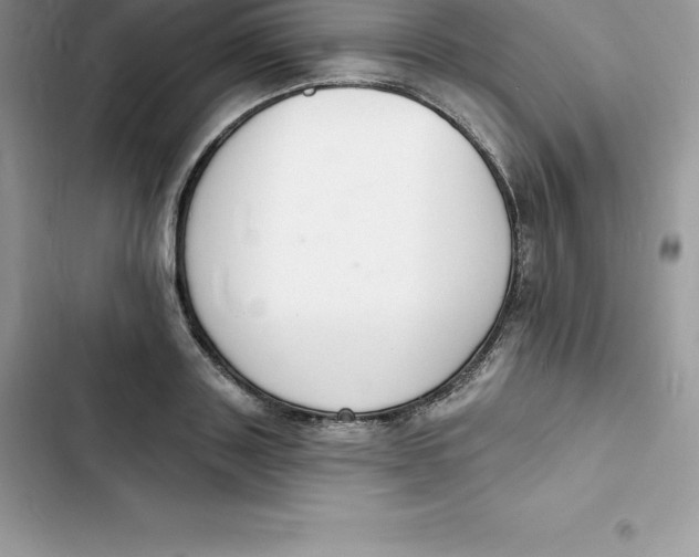 X0000103300843200809191852