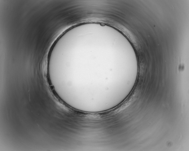 X0000103300844200809191852