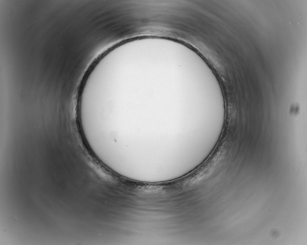 X0000103300846200809191852