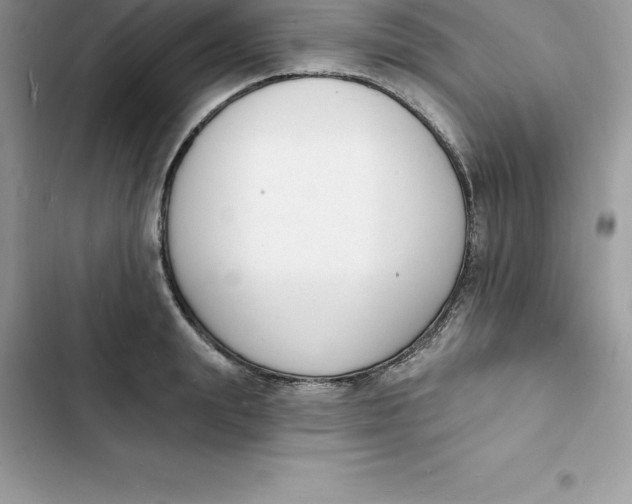 X0000103300847200809191852