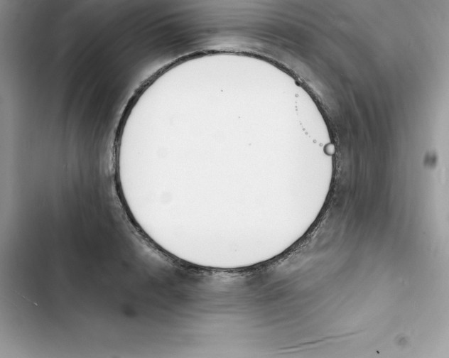 X0000103300848200809191852