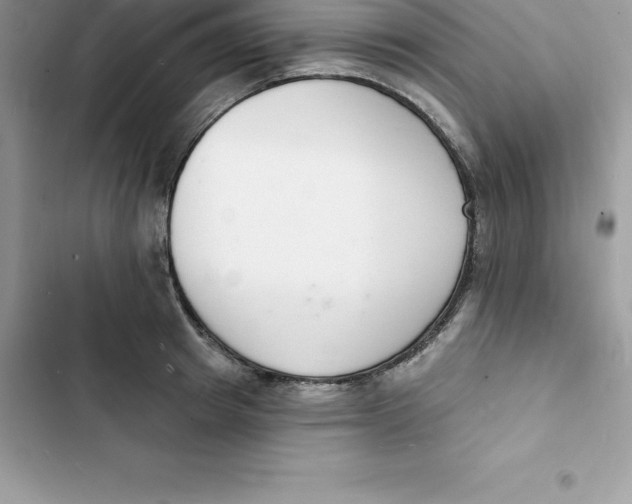 X0000103300849200809191852