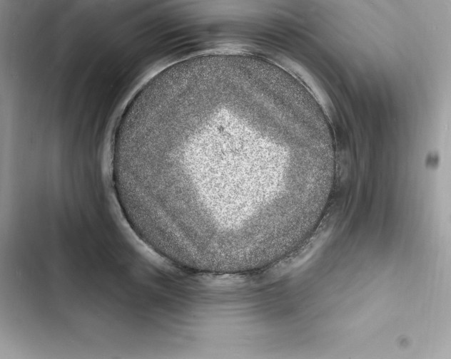 X0000103300851200809191852