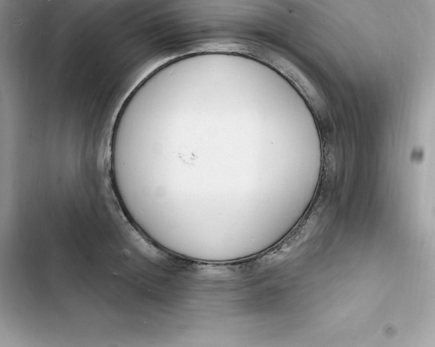 X0000103300852200809191852