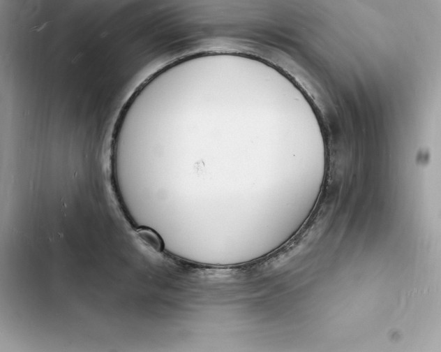 X0000103300853200809191852