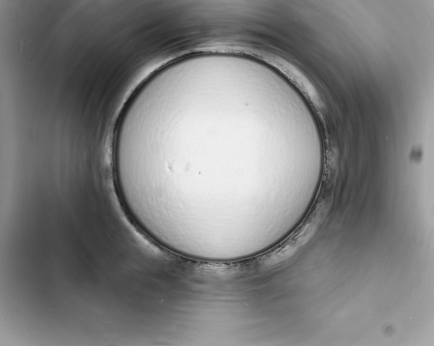 X0000103300855200809191852