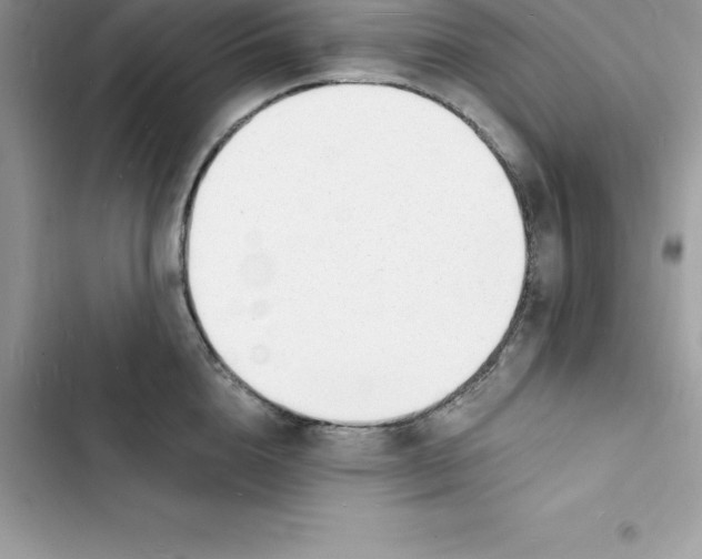 X0000103300856200809191852