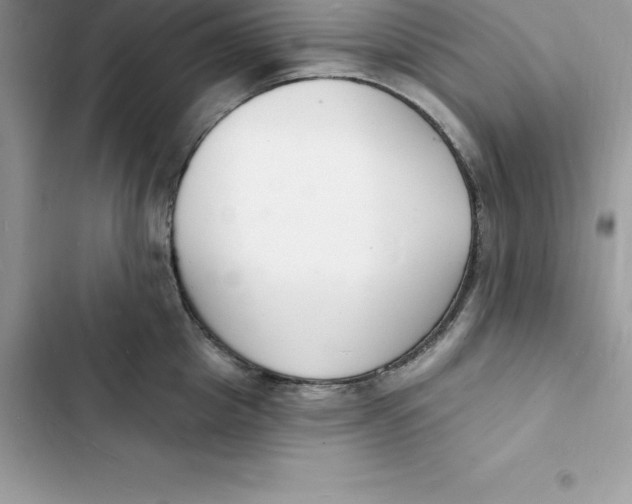 X0000103300857200809191852