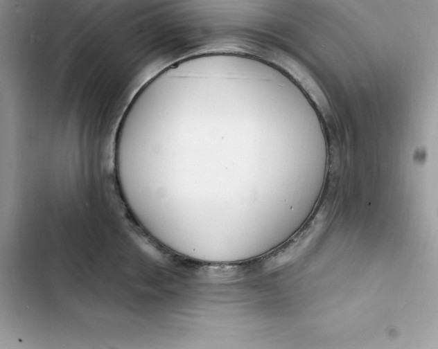 X0000103300858200809191852