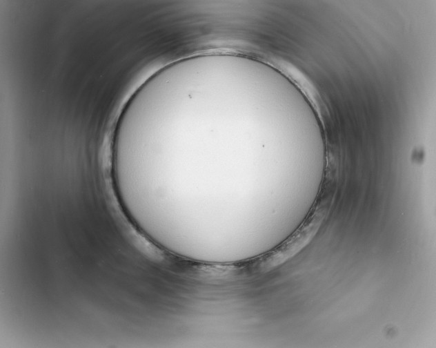 X0000103300859200809191852