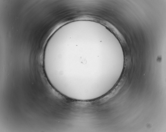 X0000103300860200809191852