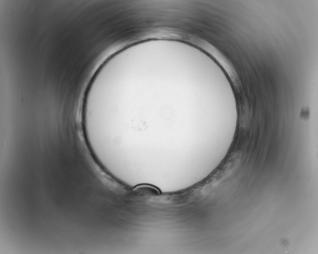 X0000103300861200809191852